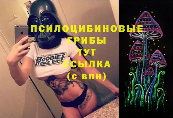 гидра Нягань